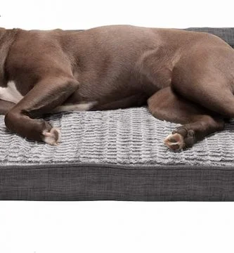 Cama para American Stanford